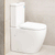 Hysett Q Back to Wall Toilet Suite, Gloss White