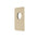 Rectangular 100mm x 150mm Plate for Jena Wall Mixer, PVD Brushed Bass (Gold)