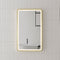 Retti Rectangular 450mm x 750mm Frontlit LED Framed Mirror with Demister, Brushed Brass (Gold) Frame