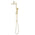 Profile Round Twin Shower System with Adjustable Rail and 250mm Head, Brushed Brass
