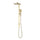Retto Square Twin Shower System with Adjustable Rail and 250mm Head, Brushed Brass (Gold)