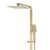 Jena Square Twin Shower System with Adjustable Rail, Push Button Diverter and 250mm Head, Brushed Brass (Gold)