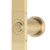 Jena Square Twin Shower System with Adjustable Rail, Push Button Diverter and 250mm Head, Brushed Brass (Gold)