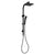 Phoenix Lexi Twin Shower | Matte Black |
