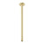 Phoenix Vivid Ceiling Arm 450mm | Brushed Gold |