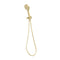 Phoenix Vivid Slimline Hand Shower | Brushed Gold |
