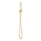 Phoenix Vivid Slimline Microphone Hand Shower | Brushed Gold |