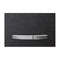 Geberit Sigma50 Dual Flush Button and Access Plate, Slate
