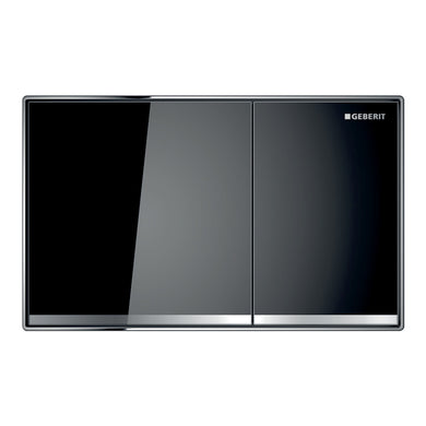 Geberit Sigma60 Dual Flush Button & Access Plate, Black
