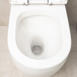 Hysett Q Back to Wall Toilet Suite, Gloss White