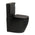 Hysett Q Back to Wall Toilet Suite, Matte Black