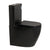Hysett Q Back to Wall Toilet Suite, Matte Black