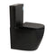 Hysett Q Back to Wall Toilet Suite, Matte Black