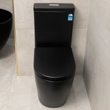 Hysett Q Back to Wall Toilet Suite, Matte Black