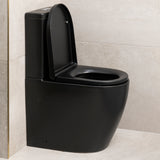 Hysett Q Back to Wall Toilet Suite, Matte Black