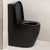 Hysett Q Back to Wall Toilet Suite, Matte Black