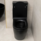 Hysett Q Back to Wall Toilet Suite, Matte Black