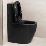 Hysett Q Back to Wall Toilet Suite, Matte Black