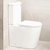 Tiffalo Rimless Back to Wall Toilet Suite | Gloss White |