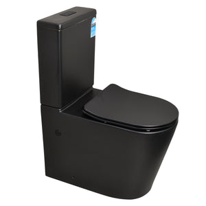 Tiffalo Rimless Back to Wall Toilet Suite, Matte Black