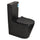Tiffalo Rimless Back to Wall Toilet Suite, Matte Black