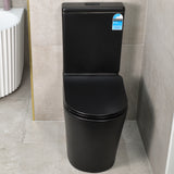 Tiffalo Rimless Back to Wall Toilet Suite, Matte Black