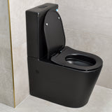 Tiffalo Rimless Back to Wall Toilet Suite, Matte Black