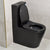 Tiffalo Rimless Back to Wall Toilet Suite, Matte Black