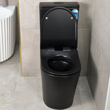 Tiffalo Rimless Back to Wall Toilet Suite, Matte Black
