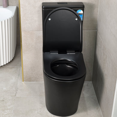 Tiffalo Rimless Back to Wall Toilet Suite, Matte Black