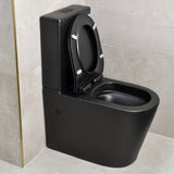 Tiffalo Rimless Back to Wall Toilet Suite, Matte Black