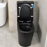 Tiffalo Rimless Back to Wall Toilet Suite, Matte Black