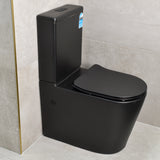Tiffalo Rimless Back to Wall Toilet Suite, Matte Black