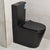 Tiffalo Rimless Back to Wall Toilet Suite, Matte Black