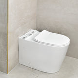 Tiffalo Rimless Back to Wall Toilet Suite, Matte White