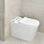 Tiffalo Rimless Back to Wall Toilet Suite, Matte White