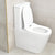 Tiffalo Rimless Back to Wall Toilet Suite, Matte White