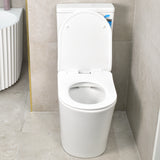 Tiffalo Rimless Back to Wall Toilet Suite, Matte White