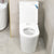 Tiffalo Rimless Back to Wall Toilet Suite, Matte White