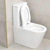 Tiffalo Rimless Back to Wall Toilet Suite, Matte White