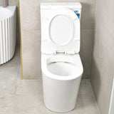 Tiffalo Rimless Back to Wall Toilet Suite, Matte White