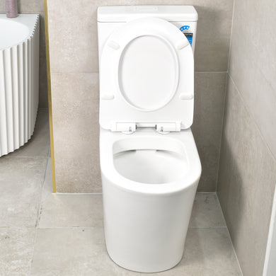 Tiffalo Rimless Back to Wall Toilet Suite, Matte White