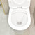 Tiffalo Rimless Back to Wall Toilet Suite, Matte White