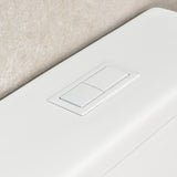 Tiffalo Rimless Back to Wall Toilet Suite, Matte White