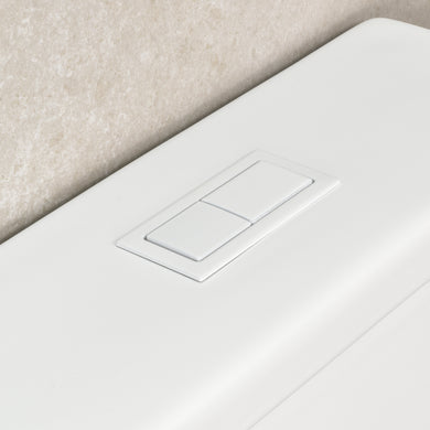 Tiffalo Rimless Back to Wall Toilet Suite, Matte White