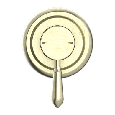 Nero York Shower Mixer With Metal Lever | Aged Brass |