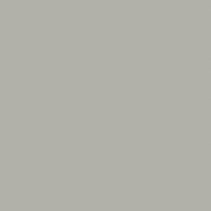 Matte Grey Nouveau Silk 
