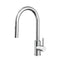 Profile III Gooseneck Kitchen Sink Mixer with Pull-Out, Polished Chrome