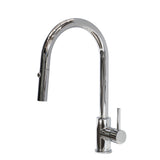 Profile III Gooseneck Kitchen Sink Mixer with Pull-Out, Polished Chrome