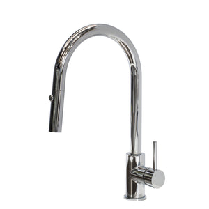 Profile III Gooseneck Kitchen Sink Mixer with Pull-Out, Polished Chrome